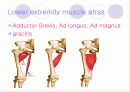 해부학 Anatomy에 대해 15페이지