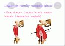 해부학 Anatomy에 대해 16페이지