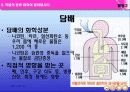 보건실 실습 보건교육- 약물오남용 ppt 24페이지