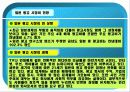 일본광고의 이해와 전망 15페이지