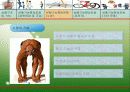  심폐기능 강화를 위한 운동 처방 18페이지