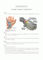 수근터널증후군(carpal tunnel syndrome) 1페이지