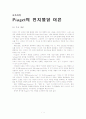 피아제 인지발달이론 1페이지