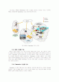 세계의 텔레매틱스(LBS: Location Based System)현황과 기업의 산업 활성화 방안 52페이지