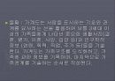 가계도, 생태도, 사회도에 관한 파워포인트자료 9페이지