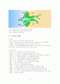 새만금 간척사업이 해양환경에 미치는 영향 3페이지