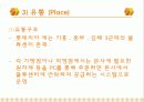 롯데리아 - 조사분석자료 - PPT 8페이지