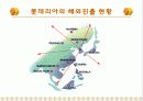 롯데리아 - 조사분석자료 - PPT 10페이지