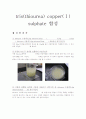tris(thiourea) copper(Ⅰ) sulphate 합성 1페이지