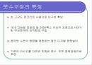 문수구장안전 10페이지