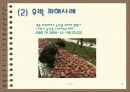 자연재해 예방대책 26페이지