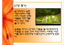 안전공학  자전거 안전 2페이지