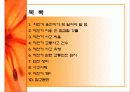 안전공학  자전거 안전 3페이지