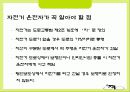 안전공학  자전거 안전 4페이지