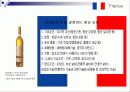 프랑스의 식문화 11페이지