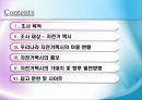 관광교통수단으로서의자전거택시 2페이지