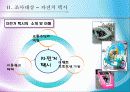 관광교통수단으로서의자전거택시 4페이지