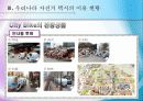 관광교통수단으로서의자전거택시 10페이지