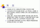 노인학대의 원인과 유형 그리고 대처방안 2페이지