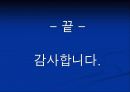 유치원 사례조사 74페이지