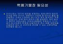 파이널핵폐기물 28페이지