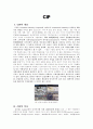 CIP(Corporate Identity Program) 1페이지