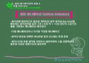 일본 애니메이션에 대하여... 21페이지