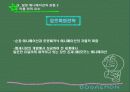 일본 애니메이션에 대하여... 25페이지