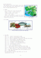 시화호 환경조사 10페이지