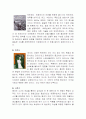 에드바르드 뭉크 7페이지