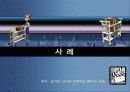 협동교수방법(팀티칭) 13페이지
