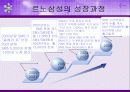 르노삼성 마케팅 사례 4페이지