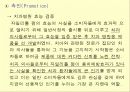 롯데 자일리톨 마케팅 사례 11페이지