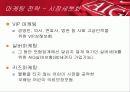 AIG마케팅 전략 6페이지