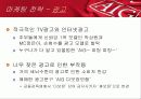 AIG마케팅 전략 10페이지