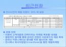 딕플의 마케팅 성공사례 21페이지