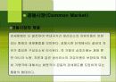 지역경제통합과 경제적효과 21페이지