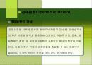 지역경제통합과 경제적효과 24페이지