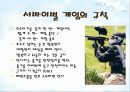 서바이벌게임 6페이지
