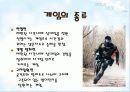 서바이벌게임 11페이지