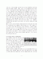 학교체육 활성화 방안 4페이지
