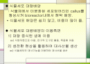 식물세포의 대량배양기술 2페이지