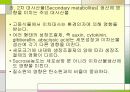 식물세포의 대량배양기술 7페이지