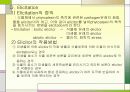 식물세포의 대량배양기술 16페이지