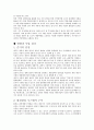 관광 개발전략과 방안 6페이지