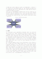 녹색농촌체험마을의 개발과 지역발전 11페이지