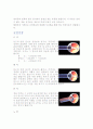 생리학 눈 3페이지