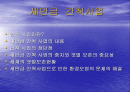새만금  개척사업 1페이지