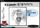 브랜디에 대하여.. 3페이지