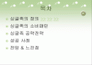 싱글족 마케팅 전략 2페이지
